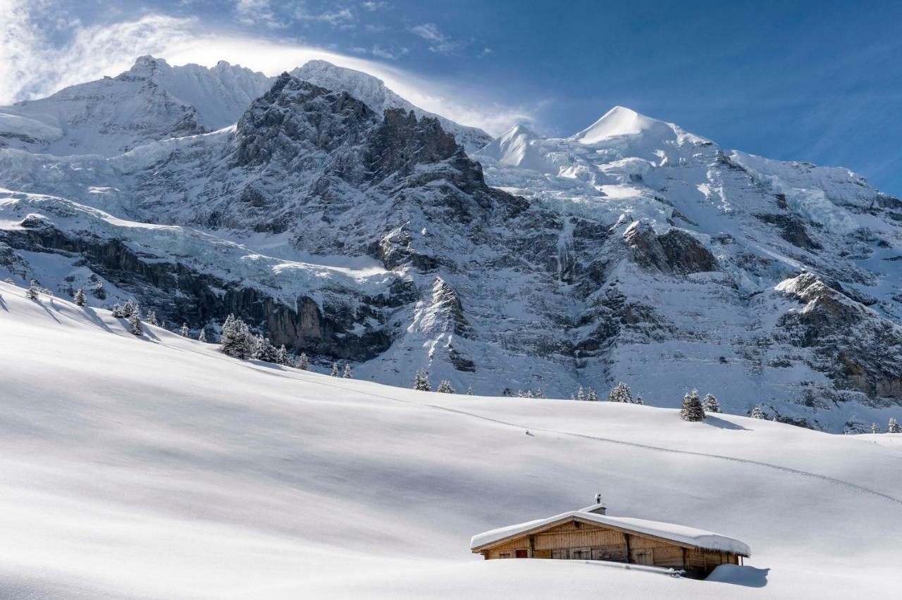Apartamento O 68 Haus Bel Air Wengen Exterior foto