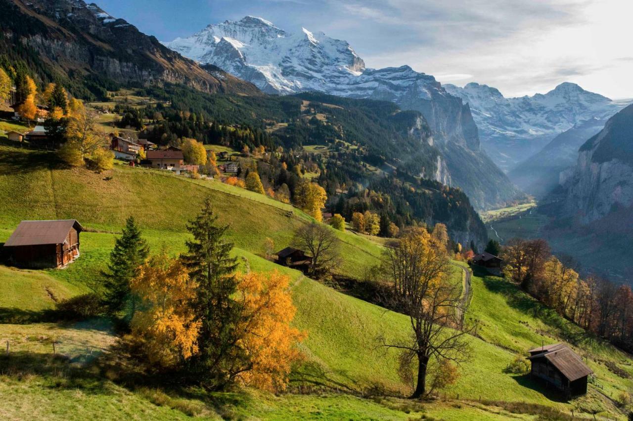 Apartamento O 68 Haus Bel Air Wengen Exterior foto